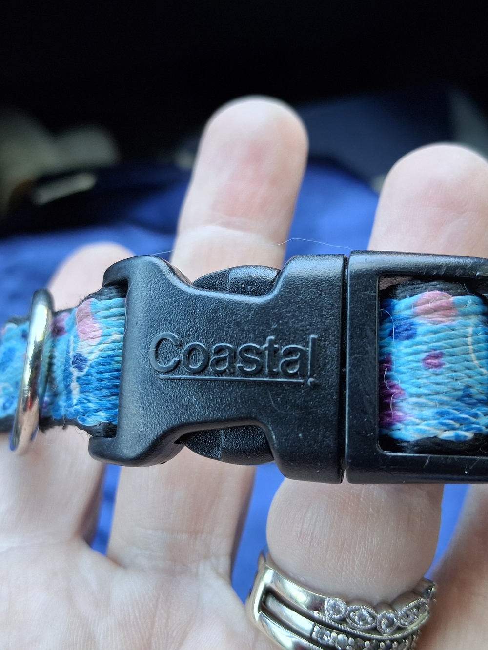Coastal Unisex Small Blue Mermaid Patterned Dog Collar
